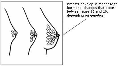 Breastfeeding Advices