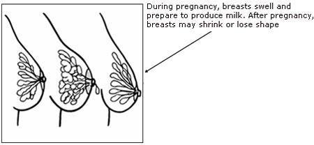Breastfeeding Advices